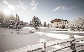 Hotel Steger-Dellai